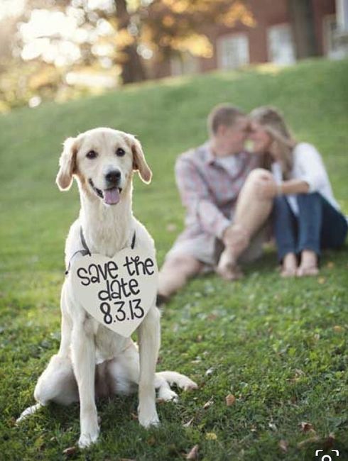 Anunciar fecha, ¿Como lo hago? 19