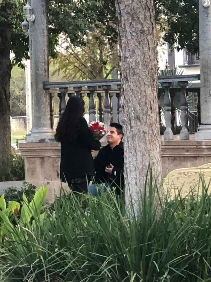 Propuestas de matrimonio curiosas 💍 - 4