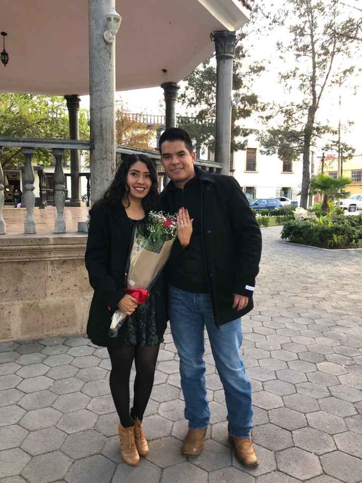 Propuestas de matrimonio curiosas 💍 - 5