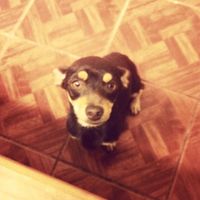 mejor amigo de todos