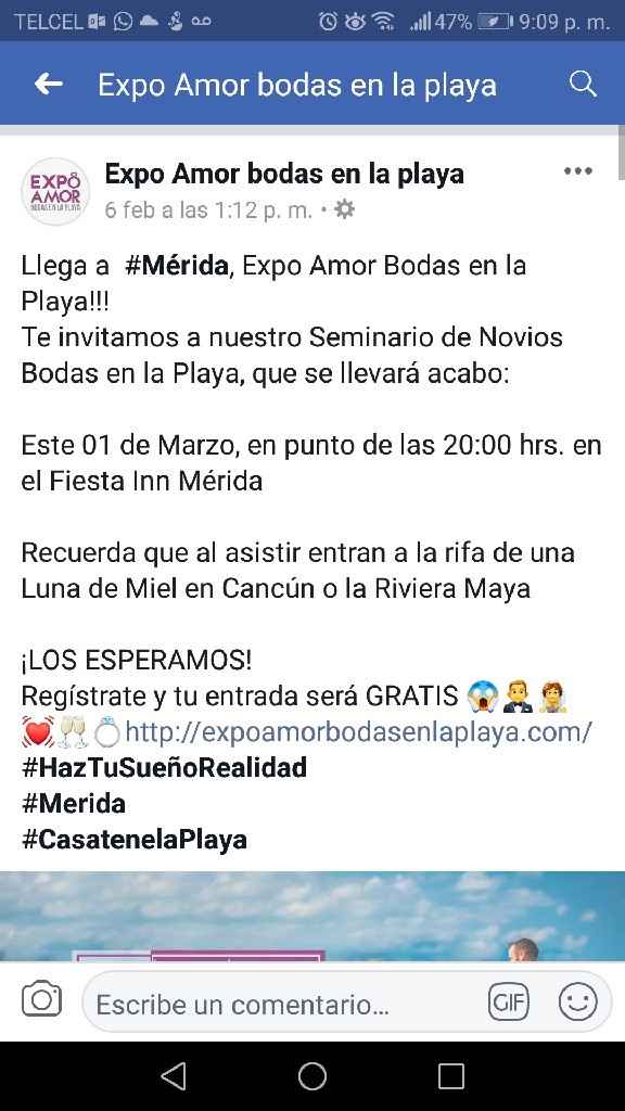 Alguna expo boda? - 1