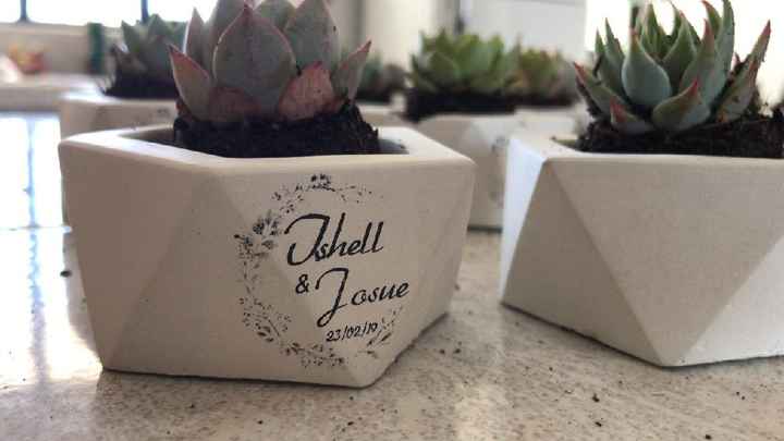 Plantitas como recuerdos - 1