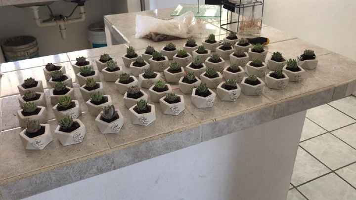 Plantitas como recuerdos - 2