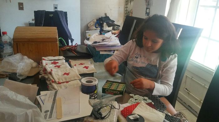  "mis cojines Diy" - 1