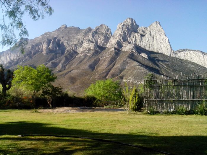 paisaje del jardín