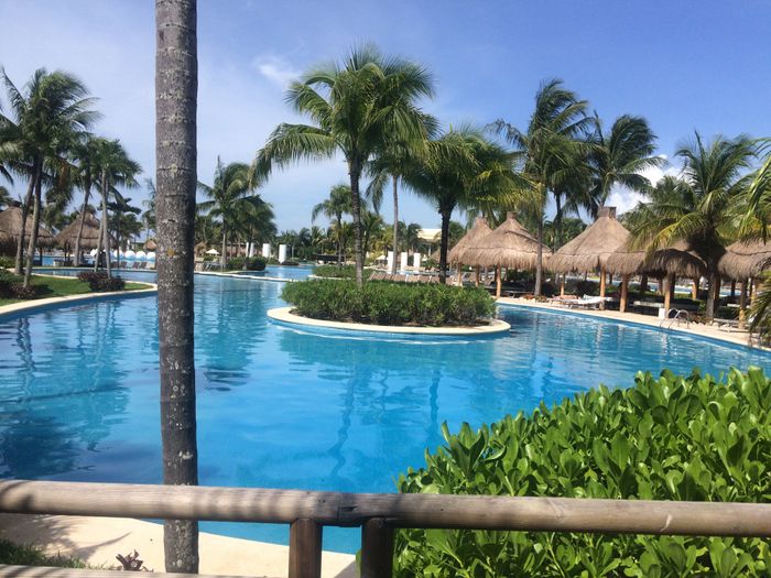 “nuestra luna de Miel Económica” - 11