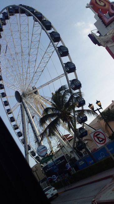 “nuestra luna de Miel Económica” - 17