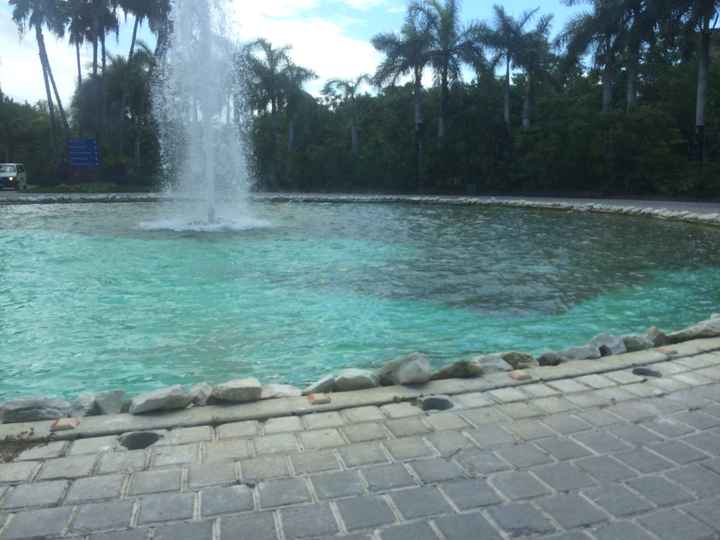 “nuestra luna de Miel Económica” - 12