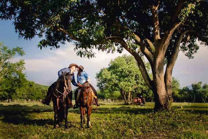 utilizaremos uno o dos caballos