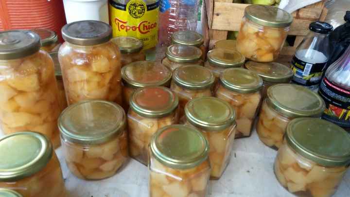 RECIEN ELABORADOS