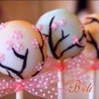 popcakes