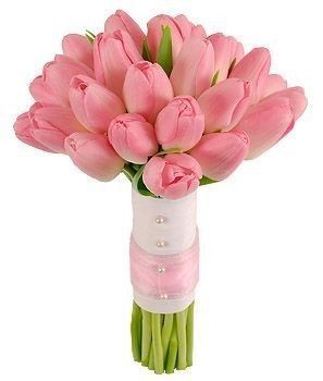 flores diversas tulipan