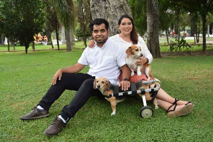 Sesión de fotos casual - 1