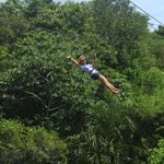Grisel
