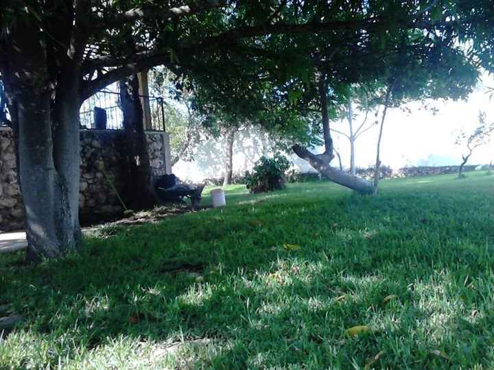 bello