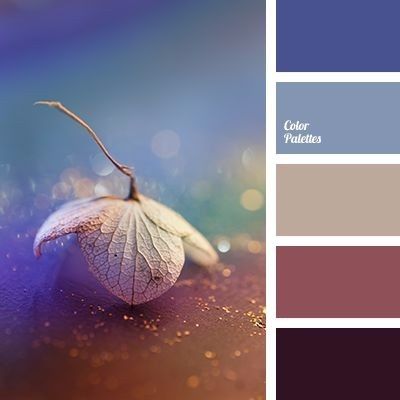 Paleta en azul y morado