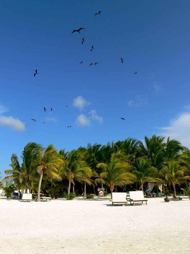 Isla holbox - 2