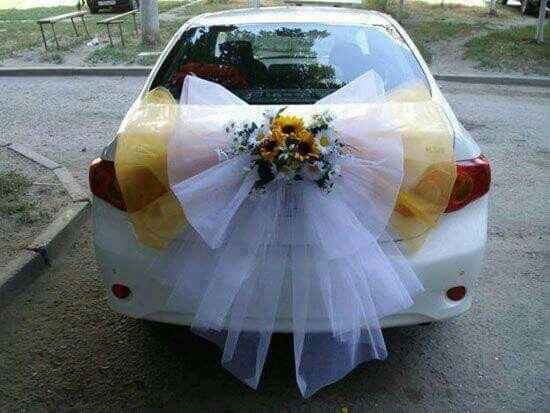 Carro para la boda!! - 7