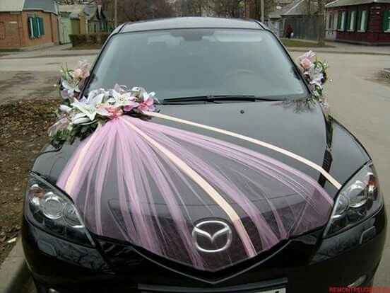 Carro para la boda!! - 10