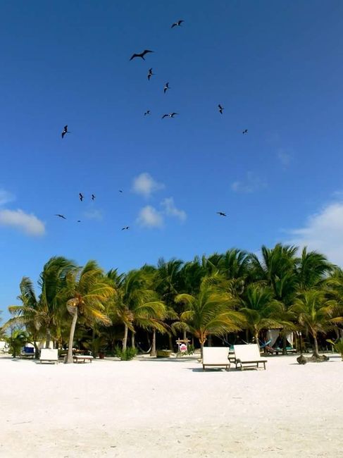 Isla holbox - 2