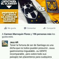 Playera de tigres para la sesión informal - 1