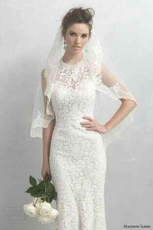 Velos y más velos - 2