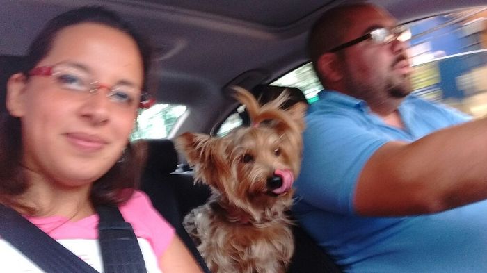 Presuman su foto... las mascotas!! - 1