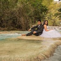 Trash of dress - 8