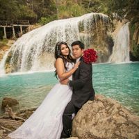 Trash of dress - 16