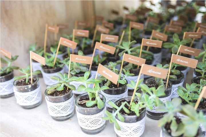 Suculentas con etiqueta