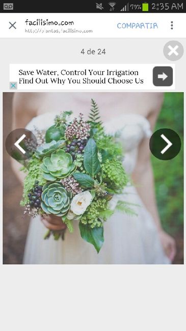 Inspiración para mi bouquette - 4