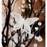 Mariposas