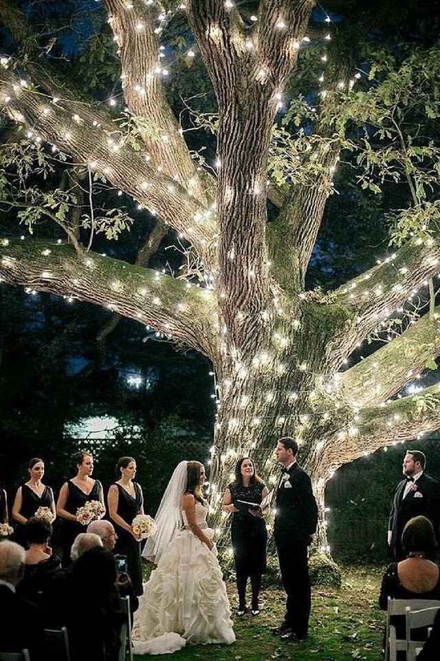 Que les parecen las wedding tree - 1