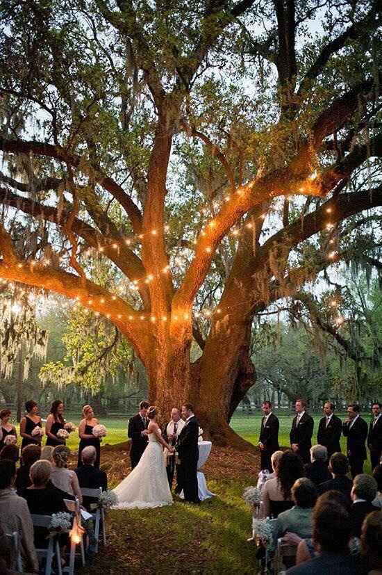 Que les parecen las wedding tree - 11