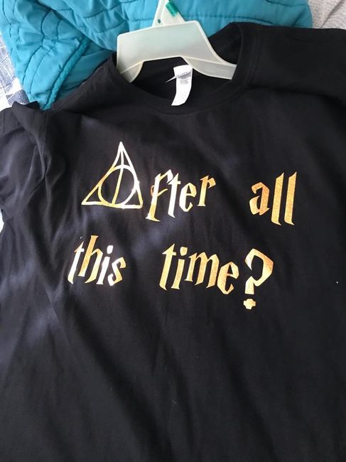 Nuestra Despedida de Solteros Harry Potter - Parte 1 - 11