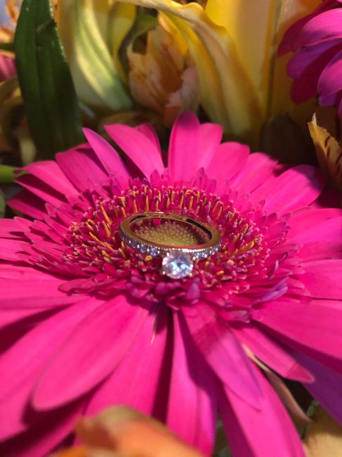 Mi hermoso Anillo de Compromiso 5