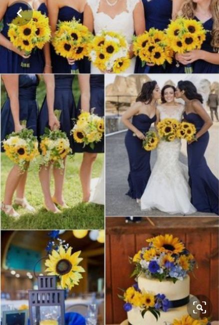 Color de damas - 1