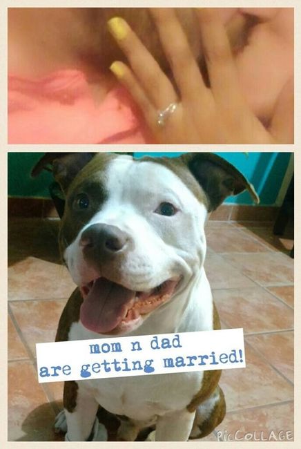 Mi bebe