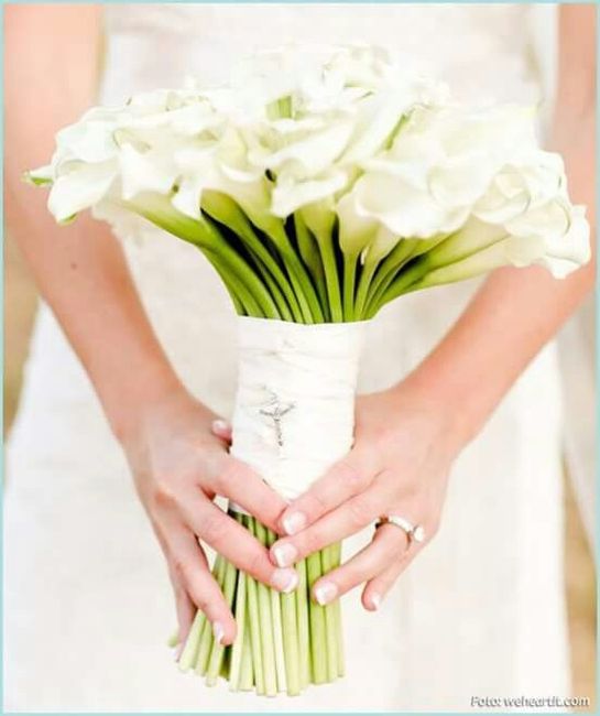 HERMOSOS..