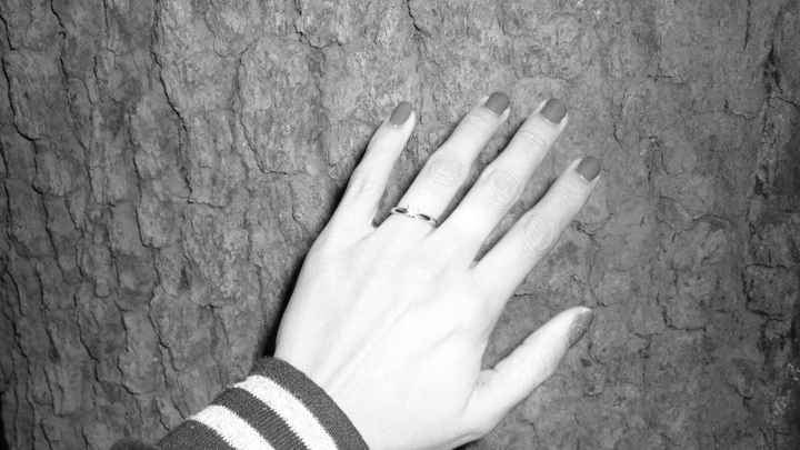 el anillo
