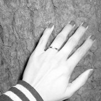 el anillo