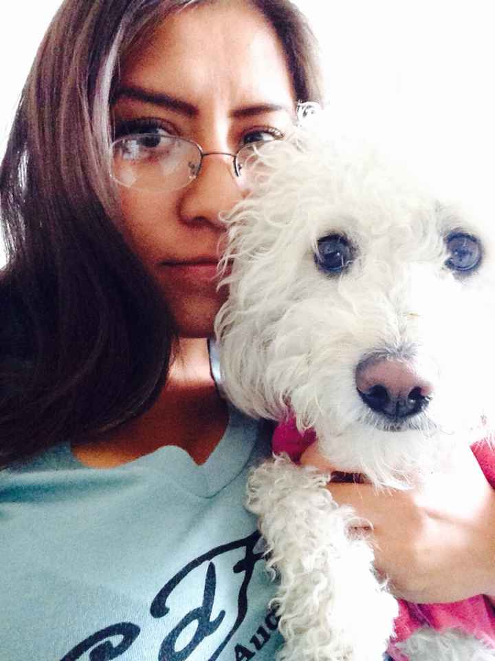 Para las mascotas - 1