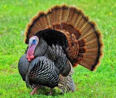 Les ha pasado??? - 1