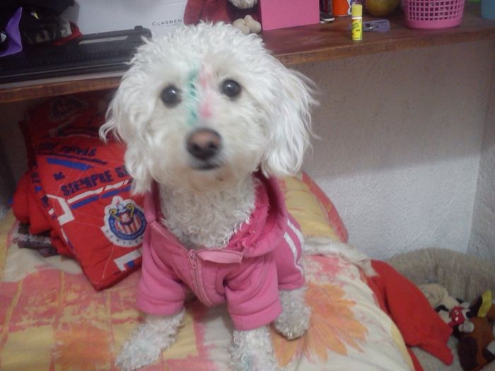 Y con ustedes el nuevo integrante!!! - 1