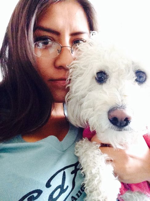 Para las mascotas - 1