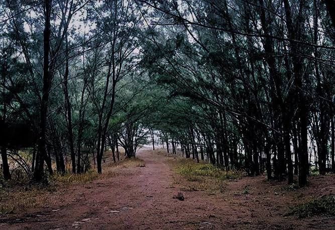 Outfits de playa para el save the date. - 1