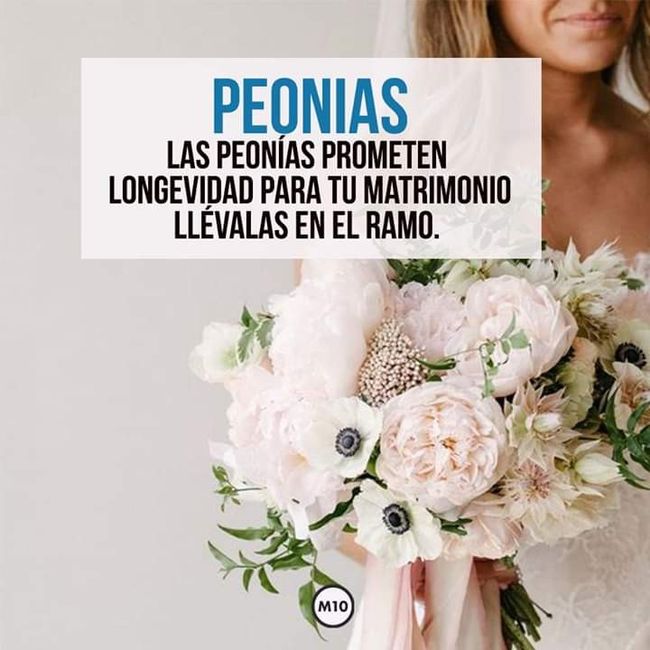 Amuletos para el día b - 9