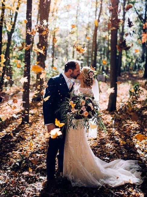 Fotos en otoño🍁🍂 6