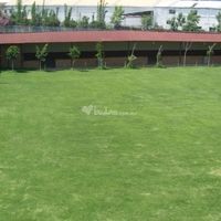 Salón Jardín del Rocío