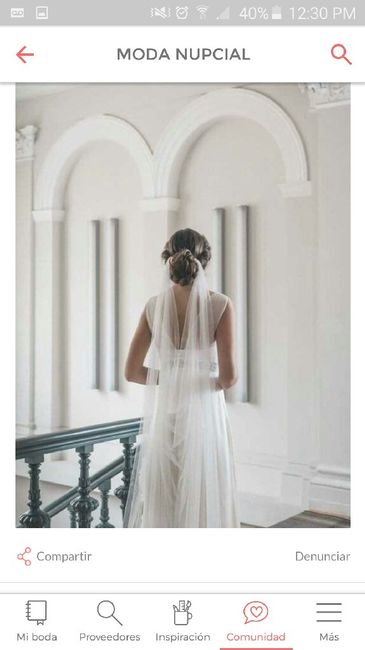 Velos caídos ❤️ - 1